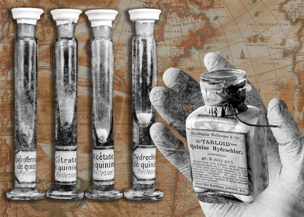 The History of Quinine Should Make Us Wary of Leaders Who Claim Hydroxychloroquine Can Cure COVID-19
