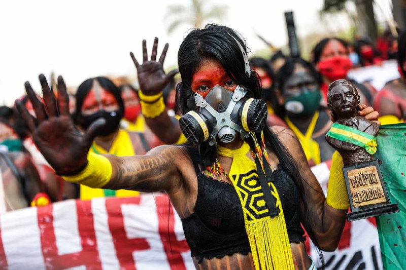 How Brazil’s Xokleng Case Impacts the Future of Climate Responsibility